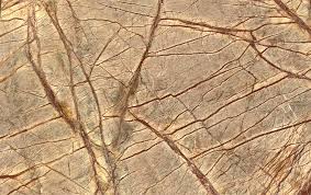 Rain Forest Brown Marble